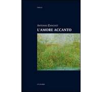 L' amore accanto