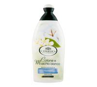 L ANGELICA B/S COTONE MUSCHIO 500