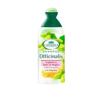 L ANGELICA SH USO FREQUENTE 250 ML