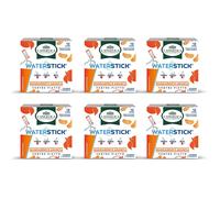 L Angelica Waterstick Gusto Mandarino e Arancia Ventre Piatto Con Vitamine e