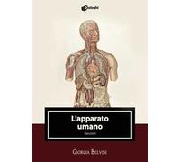 L' apparato umano