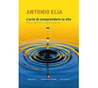 L' arte di comprendere la vita. Una pace nascosta