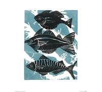 L' Arte Gruppo Amanda Colville (Pesce) - Stampa Artistica 40 x 50 cm, Carta, Multicolore, 40 x 50 x 1.3 cm