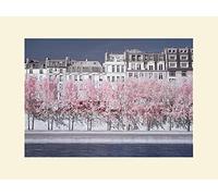 L' Arte Gruppo David Clapp (River Seine Infrared, Paris) - Formato 30 x 40 cm, Carta, Multicolore, 30 x 40 x 1.3 cm