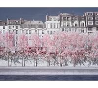 L' Arte Gruppo David Clapp (River Seine Infrared, Paris) - Stampa su Tela 30 x 40 cm, Legno, Multicolore, 30 x 40 x 1.3 cm