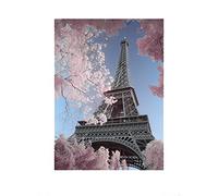 L' Arte Gruppo David Clapp (Torre Eiffel a infrarossi, Parigi) - Stampa Artistica 60 x 80 cm, Carta, Multicolore, 60 x 80 x 1.3 cm