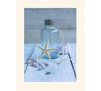 L' Arte Gruppo Howard Shooter (Seaside Treasure) - Formato 30 x 40 cm, Carta, Multicolore, 30 x 40 x 1.3 cm