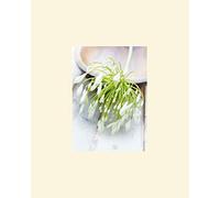 L' Arte Gruppo Ian Winstanley (White Still Life i) - Formato 24 x 30 cm, Carta, Multicolore, 24 x 30 x 1.3 cm
