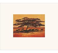 L' Arte Gruppo Jonathan Sanders (Fading Light) - Formato 24 x 30 cm, Carta, Multicolore, 24 x 30 x 1.3 cm