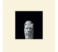 L' Arte Gruppo Nicolas Evariste (Acinonyx Jubatus) - Formato 30 x 30 cm, Carta, Multicolore, 30 x 30 x 1.3 cm