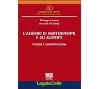 L' assegno di mantenimento e gli alimenti