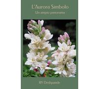 L’Aurora Simbolo: Un ampio panorama