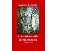 L' aviazione nella guerra sul mare