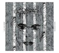 L.B.DUB CORP - SIDE EFFECTS-HQ/DOWNLOAD-