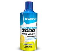 L Carnitina 3000 L Carnitina Liquida 500 ml Carnitina Liquida 3000 Carnitina