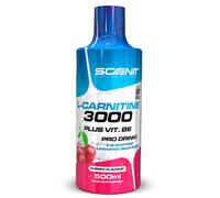 L Carnitina 3000 Liquida 500 ml L Carnitina 3000 (1 flacone da 500 ml)