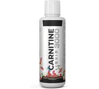 L-Carnitina, Aiuta a sostenere l'aumento di energia, Sostiene i muscoli per un'absorbimento ottimale, Sostegno energetico e muscolare, Non OGM, Vegano