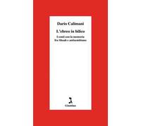 L' ebreo in bilico. I conti con la memoria fra Shoah e antisemitismo