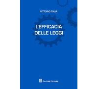 L' efficacia delle leggi