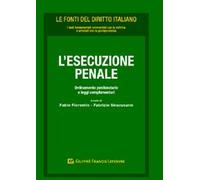 L' esecuzione penale. Ordinamento penitenziario e leggi complementari
