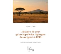 L’histoire de ceux qu’on appelle les Ngangam des origines à 1890