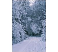 L' ICEBERG, SEUL TEMOIN DE NOTRE AMOUR: Sur la banquise, j'ai gravé nos prénoms