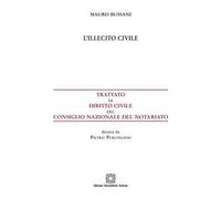 L' illecito civile