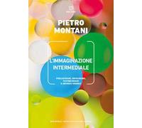 L' immaginazione intermediale. Perlustrare, rifigurare, testimoniare il mondo visibile