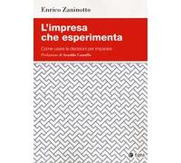 L' impresa che esperimenta. Come usare le decisioni per imparare