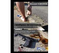 L'intelligence del marciapiede. La sociocriminologia della strada