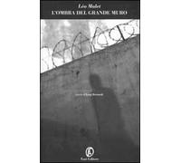 L' ombra del grande muro