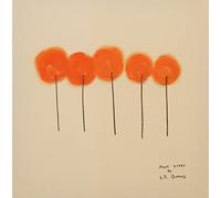 past lives (lp rosa)