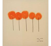 past lives (lp rosa)