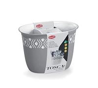 L.TOSCA GREY SCOLAPOSATE 19,5x13x14