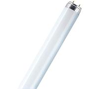 Osram - Lampada fluorescente L, 15 Watt, luce bianca naturale (840)