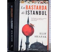 La bastarda di Istanbul