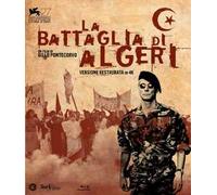 La Battaglia Di Algeri (Collect.Edit.) (Blu-ray) Brahim Hadjadj Jean Martin