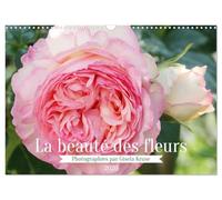 La beauté des fleurs (Calendrier mural 2026 DIN A3 vertical), CALVENDO calendrier mensuel: Les fleurs enrichissent la vie