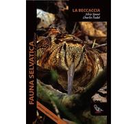 La beccaccia - [Il Piviere]