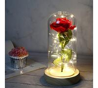 La bella e la bestia rosa, fiori per sempre rosa in Cupola trasparente con striscia luminosa a LED, per San Valentino, anniversario di matrimonio, festa della mamma, decorazioni per l'ufficio a casa