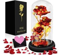 La Bella E La Bestia Rosa, Rosa Eterna, Rosa per Sempre in Cupola Di Vetro, Rosa
