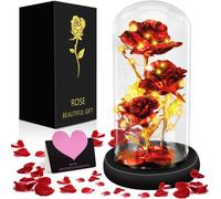 La Bella E La Bestia Rosa, Rosa Eterna, Rosa per Sempre in Cupola Di Vetro, Rosa