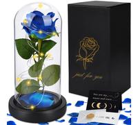 La Bella e La Bestia Rose La Bella e La Bestia Rosa Eterna Kit di Rose Rosa