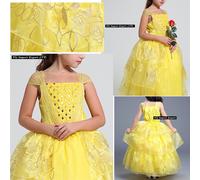 La Bella e La Bestia Vestito Carnevale Maschera Belle Cosplay Dress BEAB01 SD