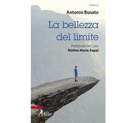 La bellezza del limite