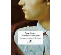 La bellezza del marito. Un saggio romanzo in 29 tanghi - Carson Anne