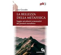 La bellezza della metafisica. Saggio sui suoi pilastri ermeneutici