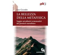 La bellezza della metafisica. Saggio sui suoi pilastri ermeneutici