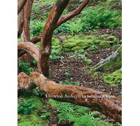 La bellezza di legno. Ediz. a colori - Andreoli Vittorino