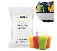 La Bevanda Del Re - Linea Bar - Preparato per Granitori - Granita Neutra 620g